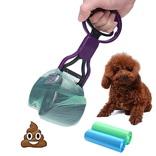 Igiene per il tuo cane: come tenere pulito il tuo fido